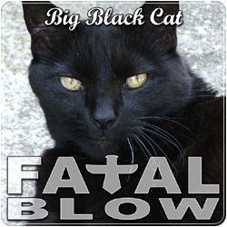 Big Black Cat